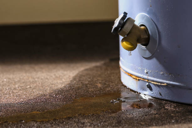 Best Water damage contractors near me  in El Dorado, KS