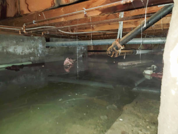 Best Carpet water damage restoration  in El Dorado, KS