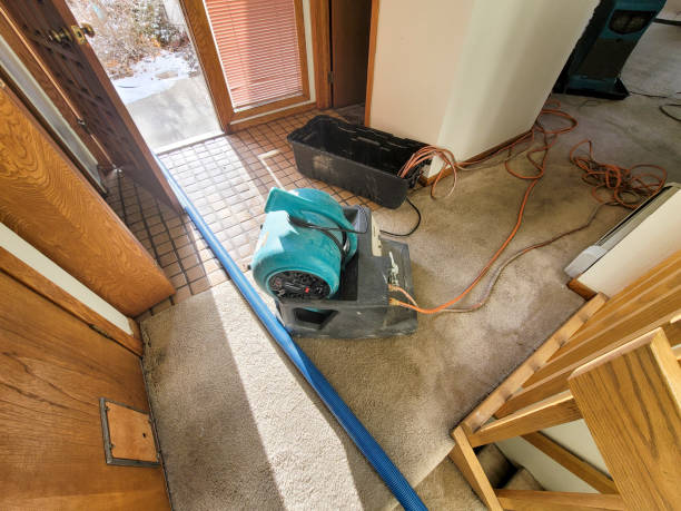 Best Water damage restoration mold remediation  in El Dorado, KS