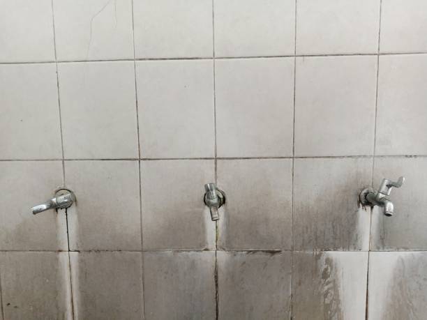 Best Flood damage cleanup  in El Dorado, KS